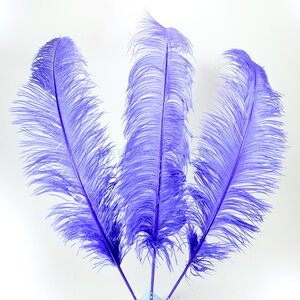 Ostrich feather purple 20-30 cm