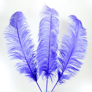 Straußvogel federn purple 20-30 cm