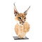 Opgezette Caracal