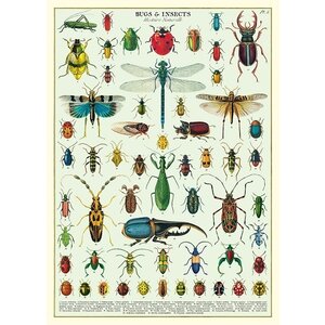 School poster - Insects