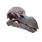 Skull Dodo ( replica) - old look