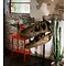 Schädel Daspletosaurus  (Replik)