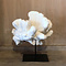 Elkhorn coral on metal stand (B)