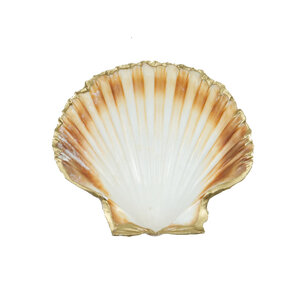 Mediterranean scallop with gold edge