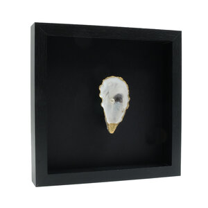 Oyster with pearl in elegant frame 25x25