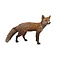 Präparierte Rotfuchs