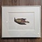 Decorative painting of woodpecker