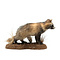 Mounted young common raccoon dog