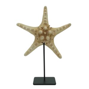Starfish yellow/orange on metal stand