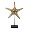 Starfish yellow/orange on metal stand