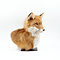 Shoulder mounted fox