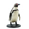 Mounted penguin