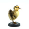 Mounted spotted yellow duck on pedestal