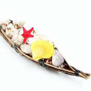 Shell boat