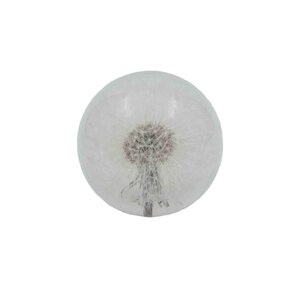 Paperweight with dandelion (small)