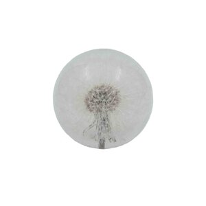 Paperweight with dandelion (large)