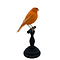 Mounted orange canary