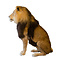 Mounted lion (male)