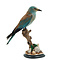 Mounted European roller B