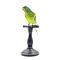 Mounted swallow parrot on pedestal (C)