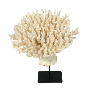 Table coral on metal base (A)