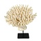 Table coral on metal base (A)