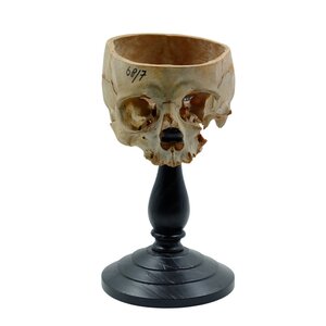 Human skull on stand