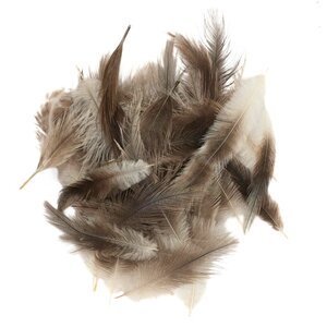 Ostrich down feathers 10 cm per 150 pieces