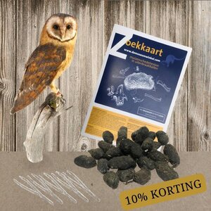 Dissection kit: 25 barn owl pellets, 5 tweezers and determination sheet (Dutch)