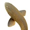 Mounten small-spotted catshark