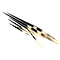 Porcupine quills ± 45x