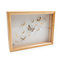 Moths in insect box (wood)