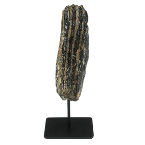 Fossil mammoth tooth on stand (D)