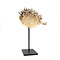 Porcupinefish on metal base