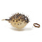 Porcupinefish (extra small)