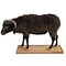 Mounted Ouessant sheep (dark)