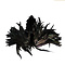 Plume Rooster - black large