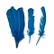 Coloured feathers