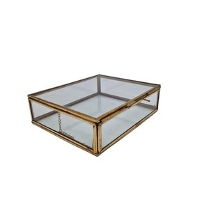 Glass case with brass (L)