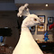 Mounted white peacock on pedestal