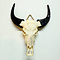 Skull Water buffalo