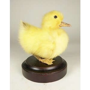 Mounted yellow duck on pedestal