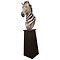 Opgezette zebra trofee op pilaar