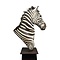 Opgezette zebra trofee op pilaar