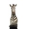 Opgezette zebra trofee op pilaar