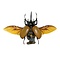 Rhinoceros beetle flying mechanical (fantasy)