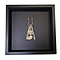 Skeleton javan bat hanging (small) in elegant box(25 X 25 CM)