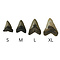 Megalodon tand (L)