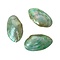 Bivalvia shell (green)
