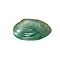 Bivalvia shell (green)